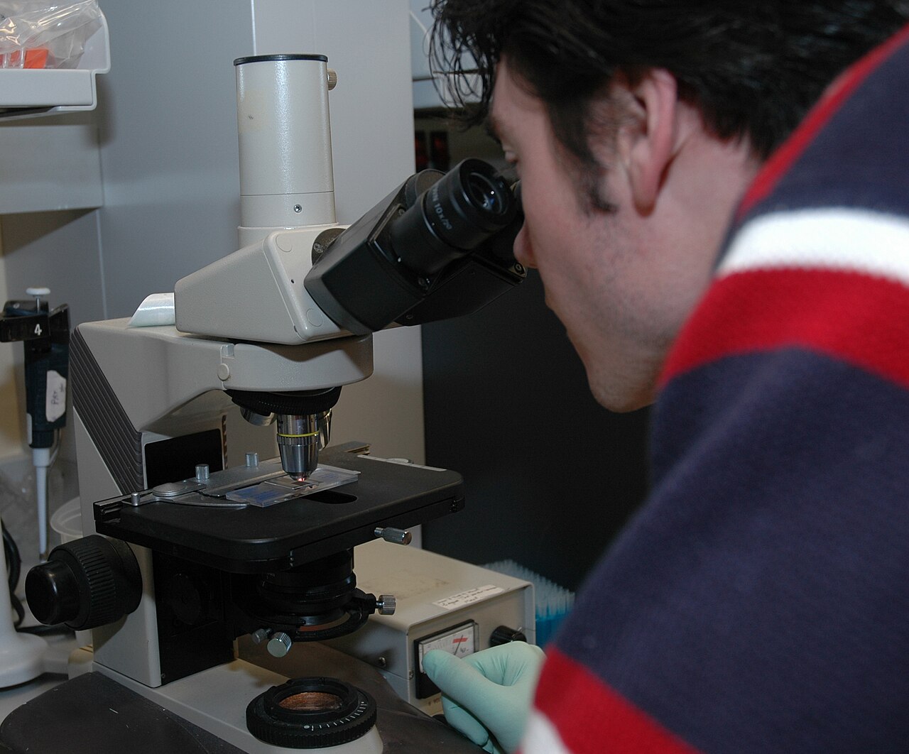 A scientist examining a sample slide under a microscope.