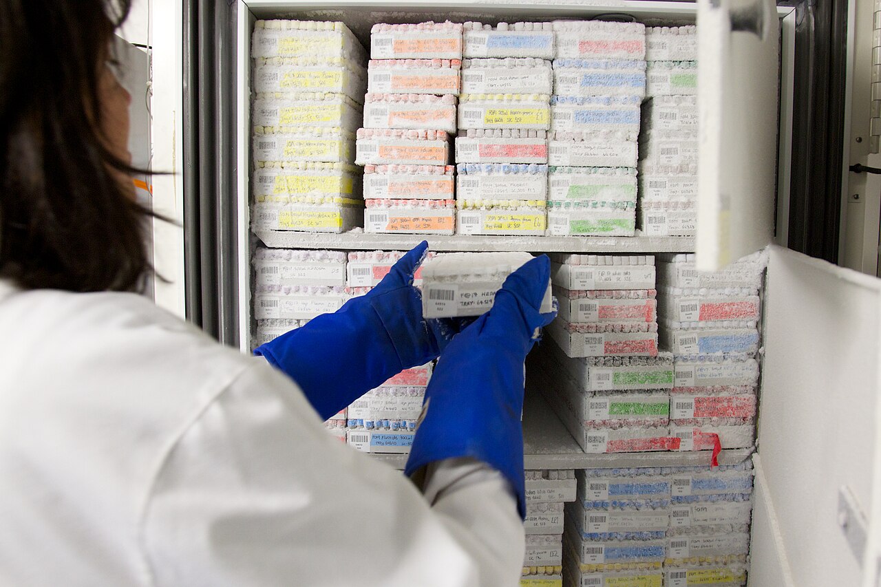 Labeled sample vials stored upright in racks inside a laboratory freezer.